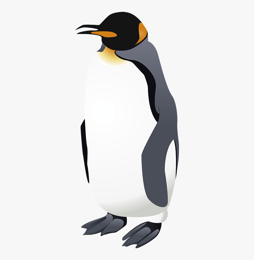 Emperor Penguin Clipart - Messenger Bag, HD Png Download, Free Download