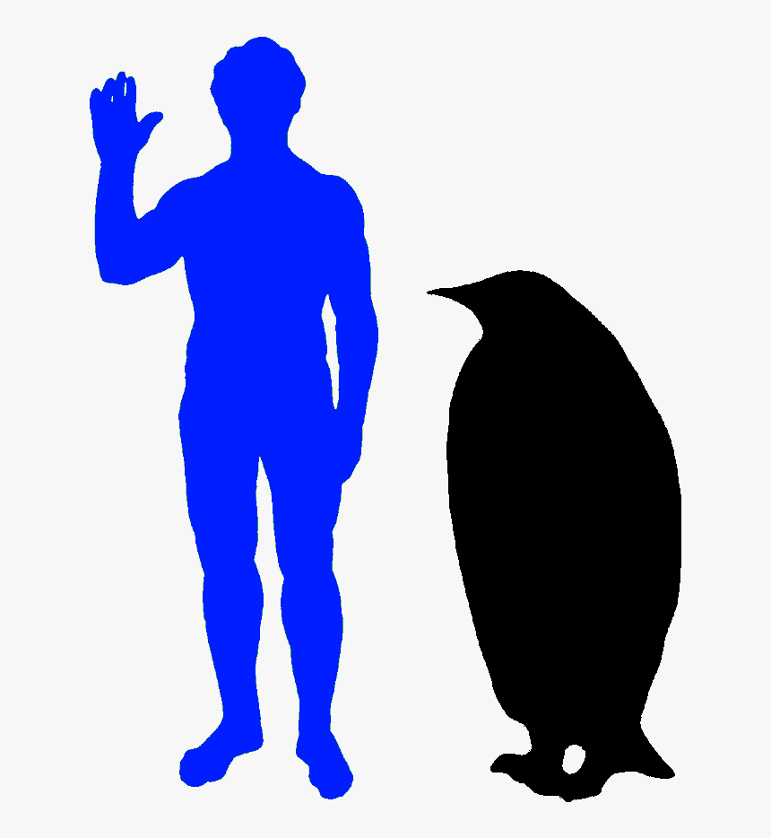 The Emperor Penguin Is The World"s Biggest Penguin - Dodo Bird Compared To Human, HD Png Download, Free Download