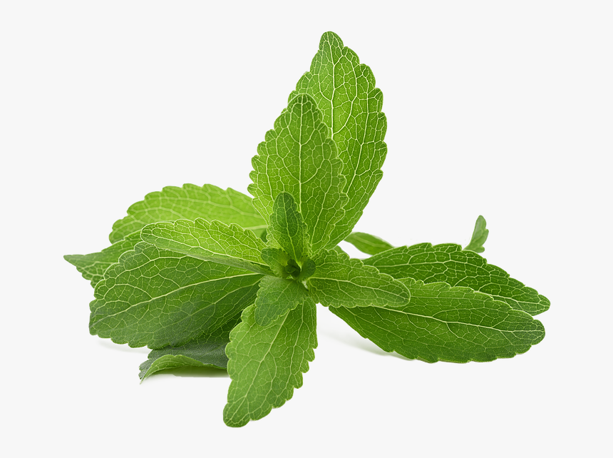 Stevia Powder, HD Png Download, Free Download