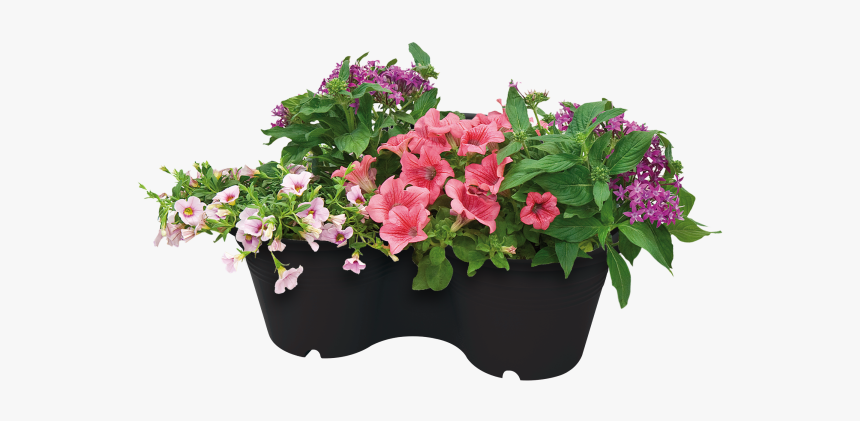 Flowerpot, HD Png Download, Free Download