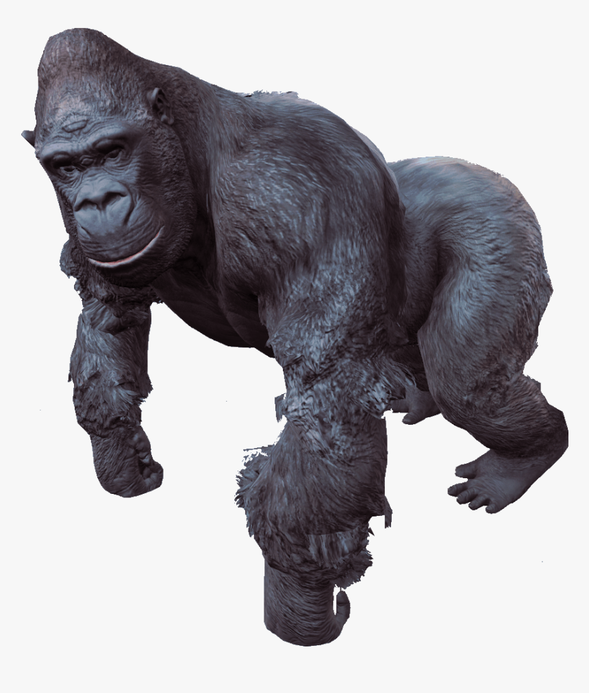 Gorilla - Gorilla Transparent Background, HD Png Download, Free Download