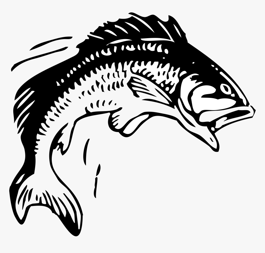 Clip Art Collection Of Free Fish - Group 11 Rugby League, HD Png Download, Free Download