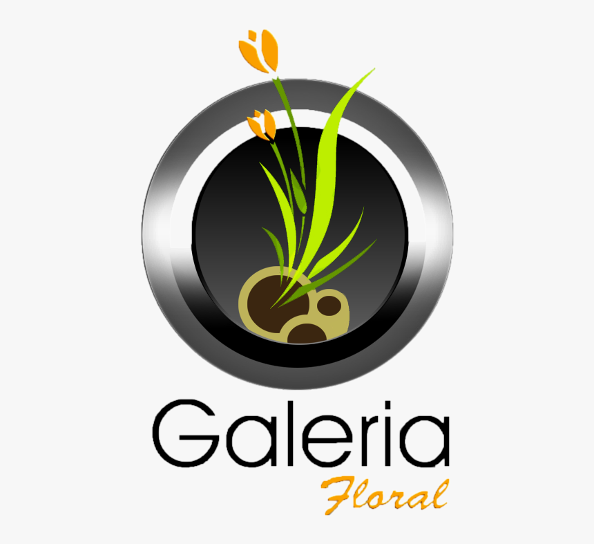 Galería Floral, Florerías En Querétaro - Galería Floral, HD Png Download, Free Download