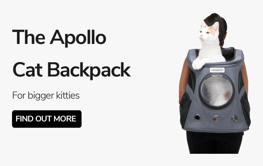 Apollo Cat Backpack Carrier - Cat, HD Png Download, Free Download