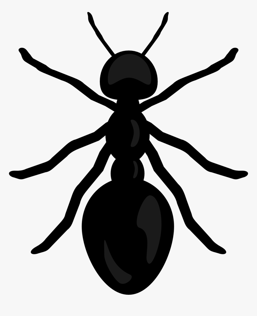 Ant Clip Art Transparent, HD Png Download, Free Download