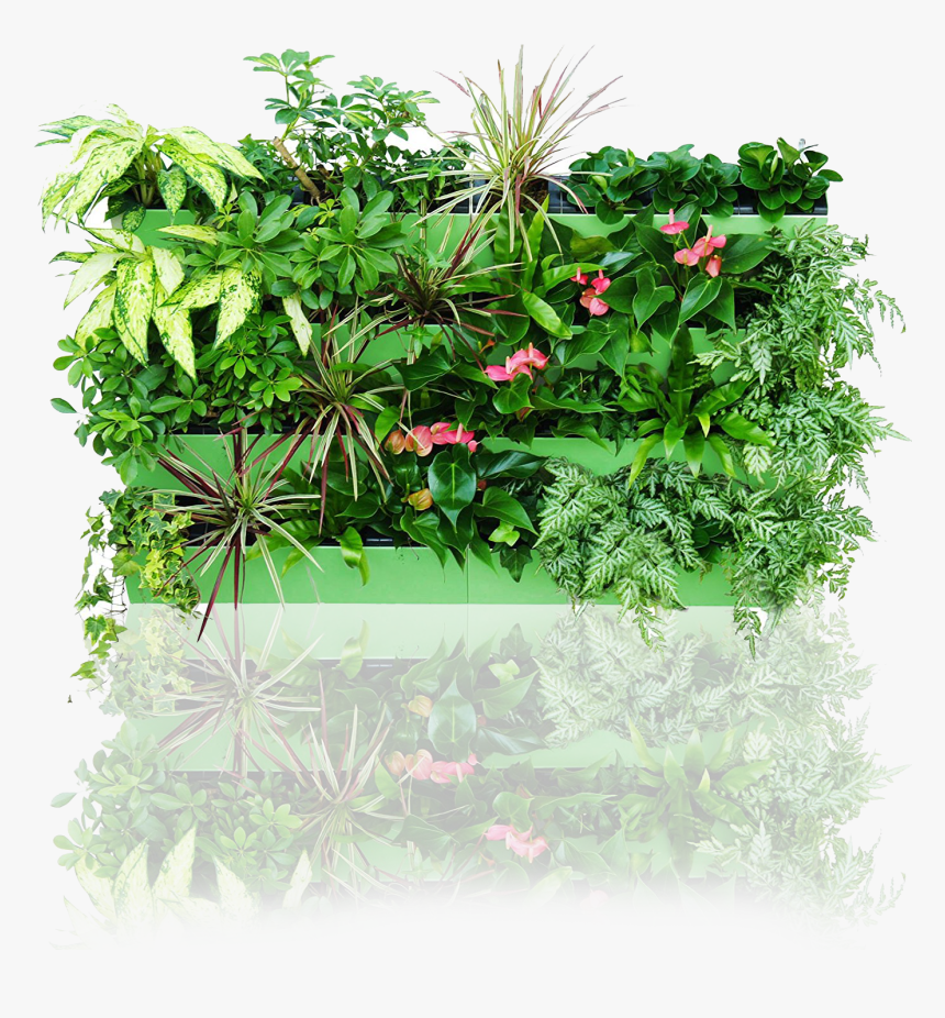 Vertical Garden Png, Transparent Png, Free Download