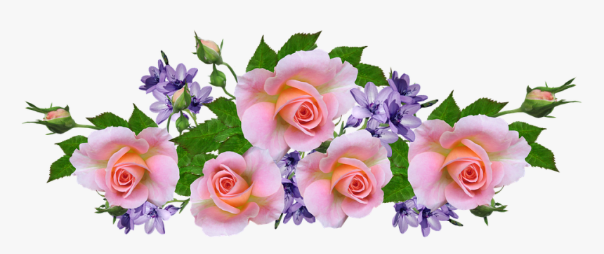 Roses, Pink, Arrangement, Mauve Flowers, Garden, Nature - Arranjo De Flores Png, Transparent Png, Free Download