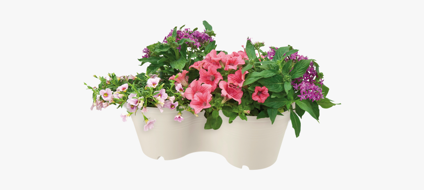 Flowerpot, HD Png Download, Free Download