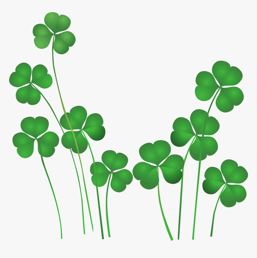 St Patrick's Day Salon Promotions, HD Png Download, Free Download