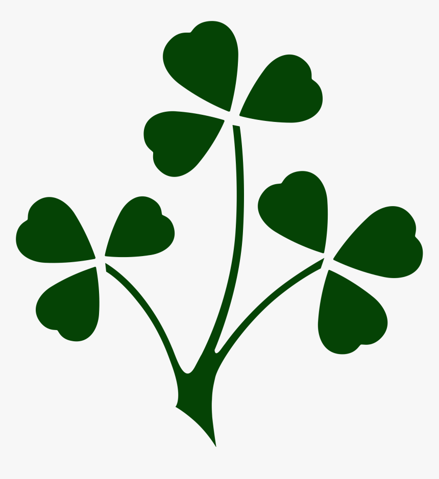 Shamrock is the symbol of. Ирландский трехлистный Клевер. Трилистник Ирландия. Шемрок трилистник. Трехлистный Клевер символ Ирландии.