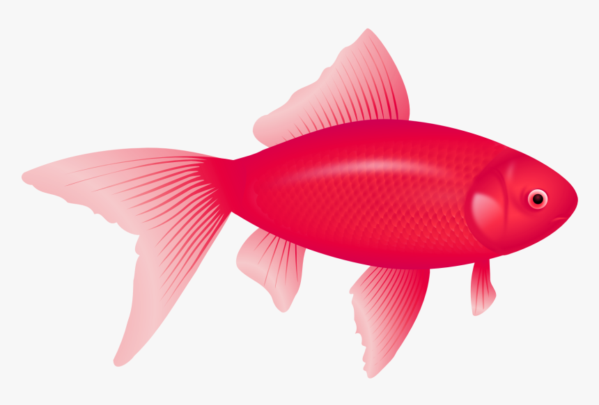 Purple Fish Png Image - Clipart Transparent Background Fish, Png Download, Free Download