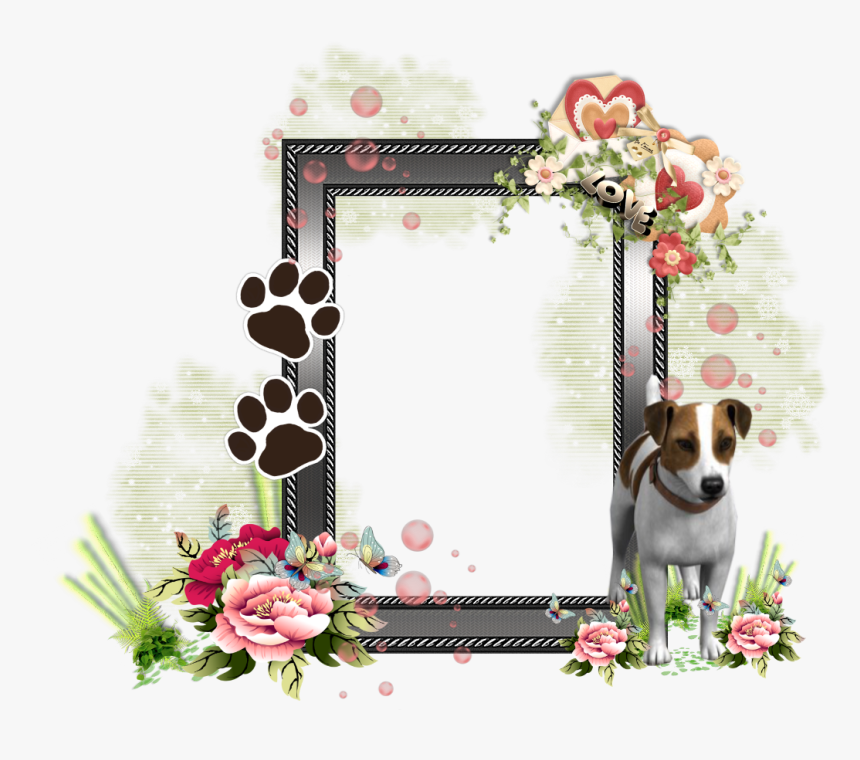 Jframe1 - Dog Frame Transparent Png, Png Download, Free Download