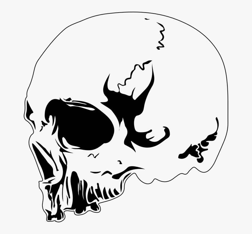 Skull, Design, Tattoo, Skeleton, Death, Dead, Head - Desain Kepala Tengkorak, HD Png Download, Free Download