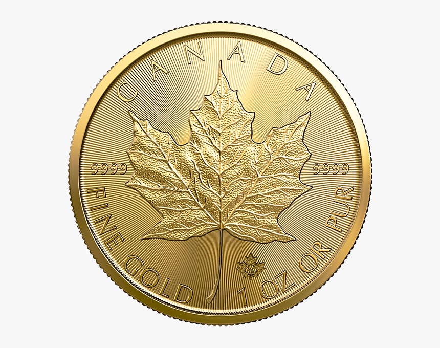 "
										 Title=""
										 Style="max Height - Maple Leaf Gold 2019, HD Png Download, Free Download