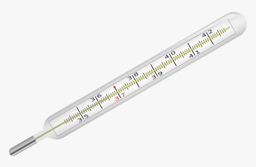 Clinical Thermometer, Fever, Thermometer, Clinic - Thermometer Diagram Without Background, HD Png Download, Free Download