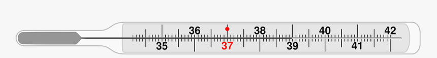 Thermometer, Medical, Clinical Thermometer, Temperature - Clinical Thermometer Images Black And White, HD Png Download, Free Download