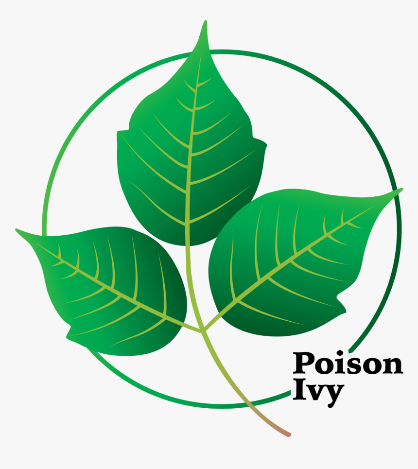 Transparent Poison Ivy Leaf, HD Png Download, Free Download