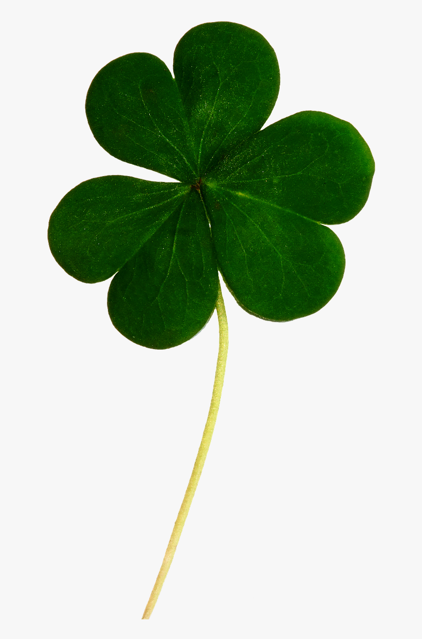 Irish Lucky Leaf, HD Png Download, Free Download