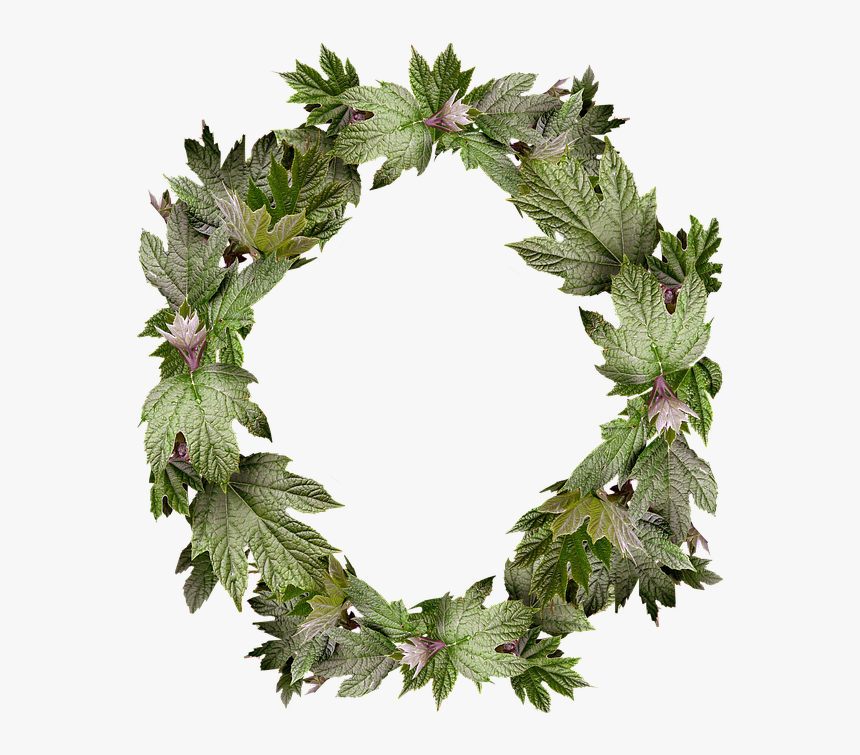 Leaves Wreath Frame Border Gambar Bingkai Daun  