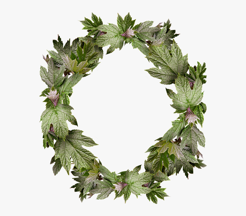 Leaves, Wreath, Frame, Border - Gambar Bingkai Daun Melingkar, HD Png Download, Free Download