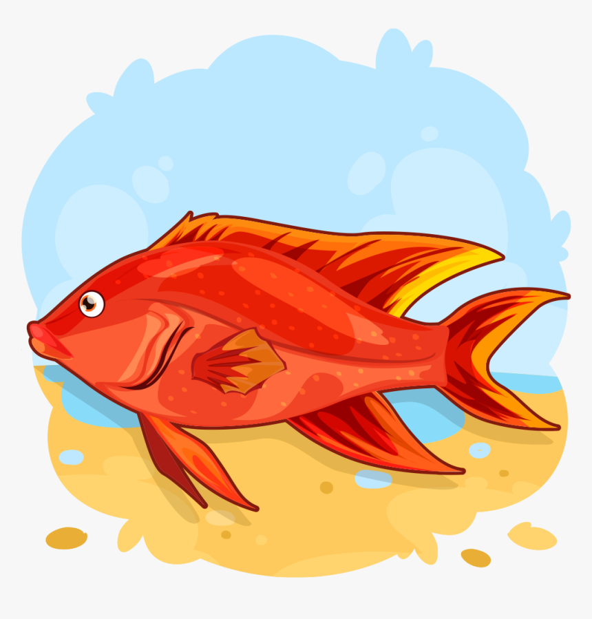 Garibaldi (fish), HD Png Download, Free Download