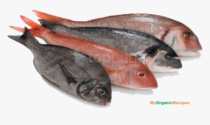 Red-seabream - Foods We Get From Animals, HD Png Download, Free Download