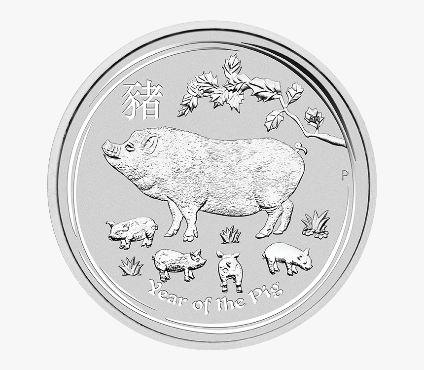 Perth Mint 1kg Silver Lunar 2019 Year Of The Pig Coin - 2019 Australian Lunar Year Of The Pig Silver, HD Png Download, Free Download