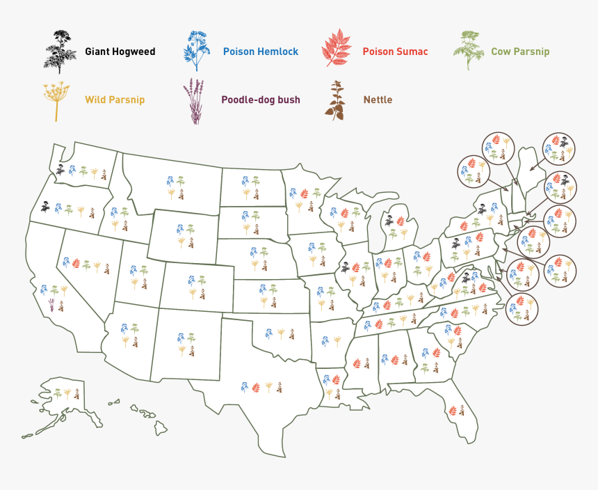 Hazardous Plant Map Sidebar - Mono Lake Location Map, HD Png Download, Free Download