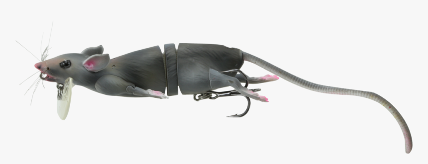 Savage Gear 3d Rat Floating Bait Topwater Wakebait"

 - Rat 3d Png, Transparent Png, Free Download