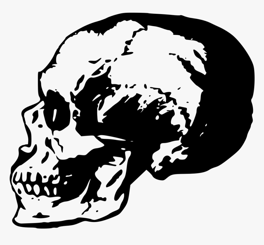 Creepy Side Skull - Illustration, HD Png Download, Free Download