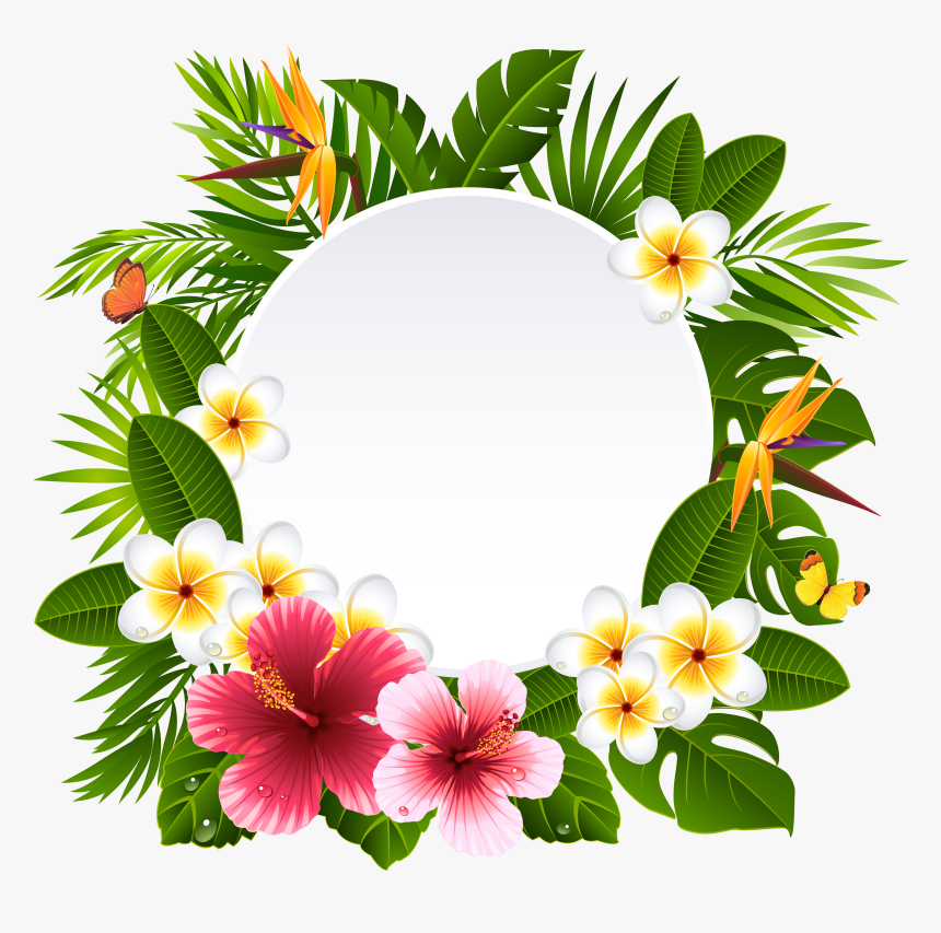 Frangipani Clipart Wreath - Hawaiian Flower Frame Png, Transparent Png, Free Download