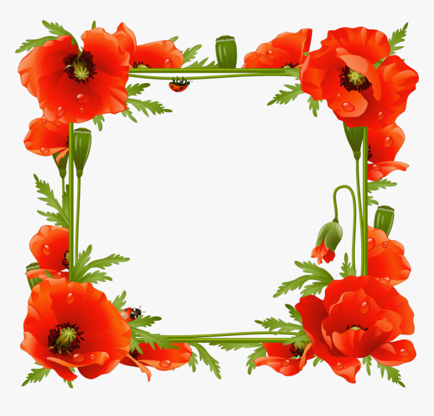 Scrap Kit Spring Flowers Cluster Frames Boardes Pinterest - Poppy Frame Png, Transparent Png, Free Download