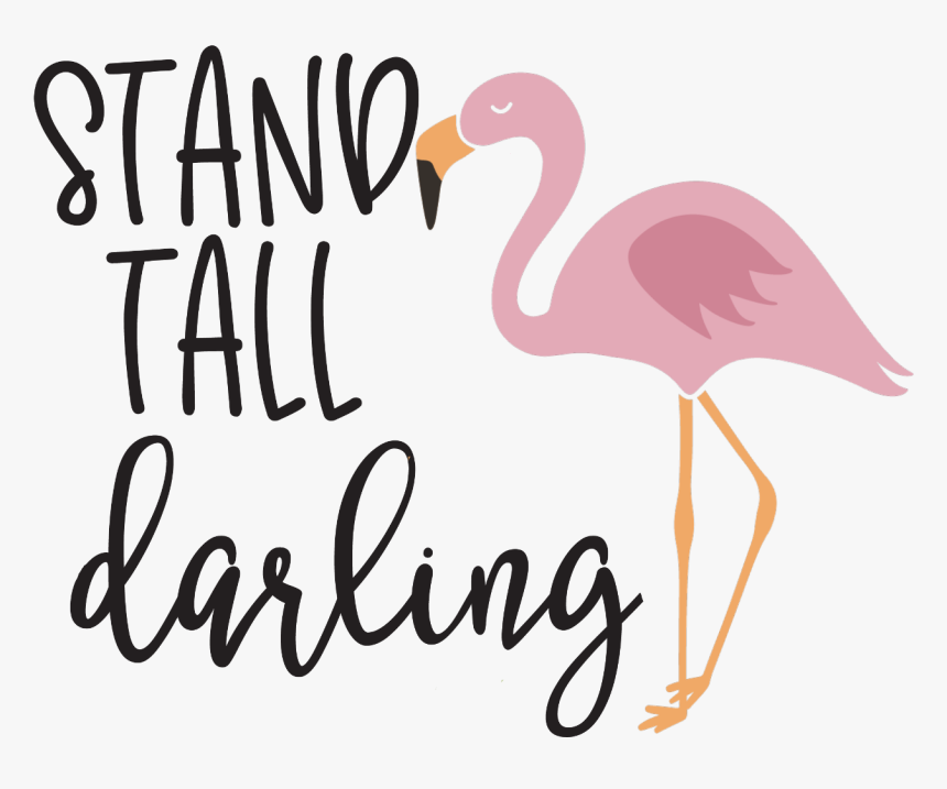 Transparent Png Sayings - Flamingo Quotes, Png Download, Free Download