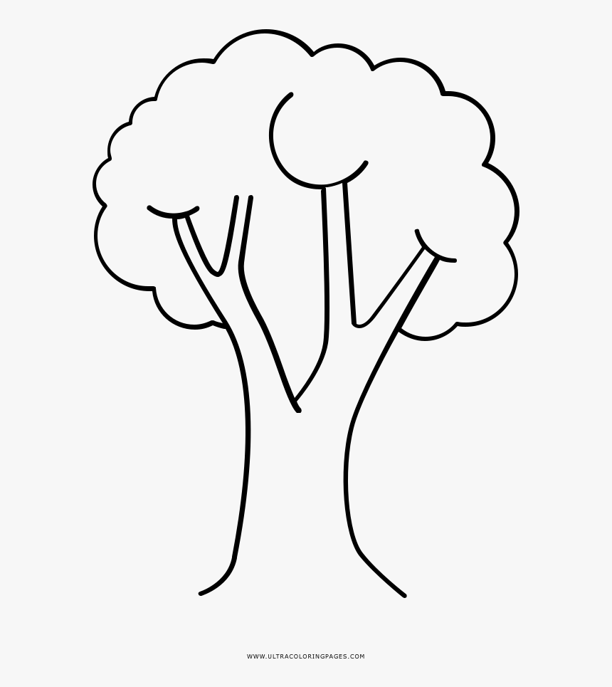 Dibujo Arbol De Navidad Facil - Arbol Para Dibujar Facil, HD Png Download -  kindpng