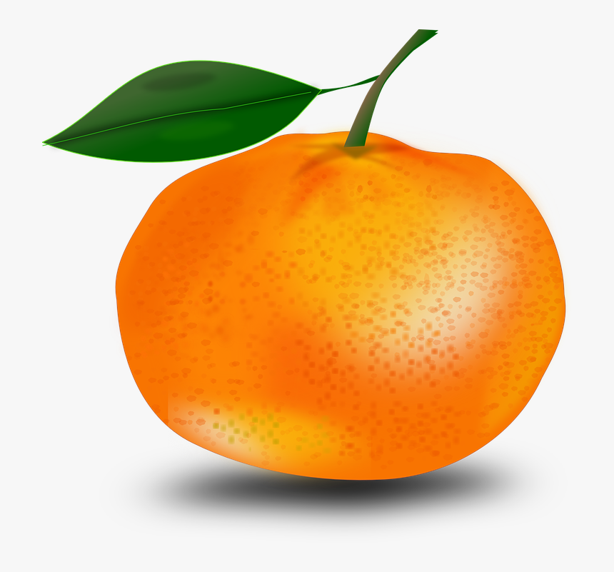 Tangerine, Orange, Mandarin, Mandarin Orange - Imagenes De Mandarina Animado, HD Png Download, Free Download