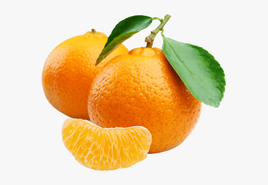 Мандарин, Плод Дерева Мандарин, Цитрусовые, Fruit Of - Mandarin Orange, HD Png Download, Free Download