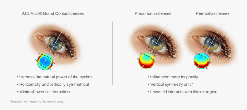 Toric Contact Lens Design Differences - Eyelash Extensions, HD Png Download, Free Download