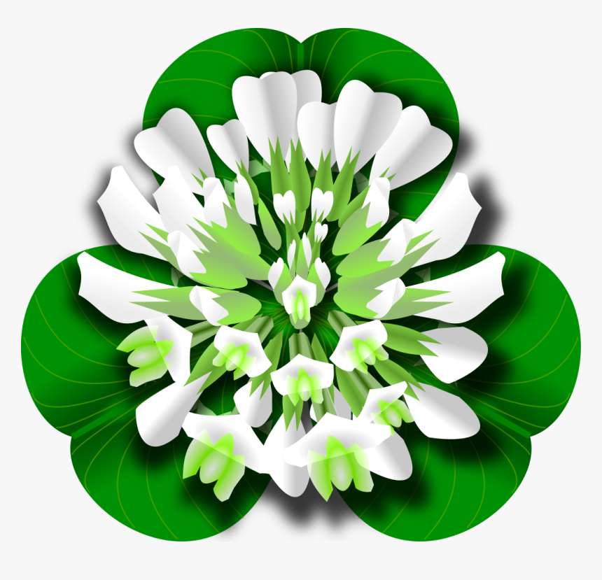 White Clover Clipart, HD Png Download, Free Download