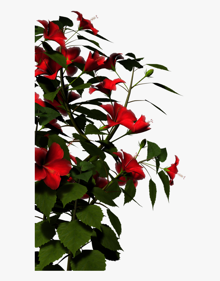 Nature Png Hd - Nature Png Images Hd, Transparent Png, Free Download
