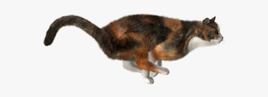 Running Cat Png - Transparent Png Cat Running Png, Png Download, Free Download