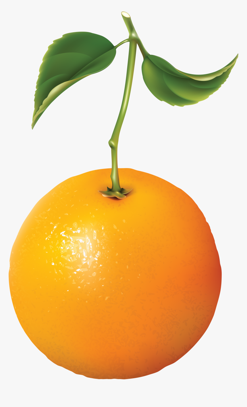 Mandarina Png, Transparent Png, Free Download