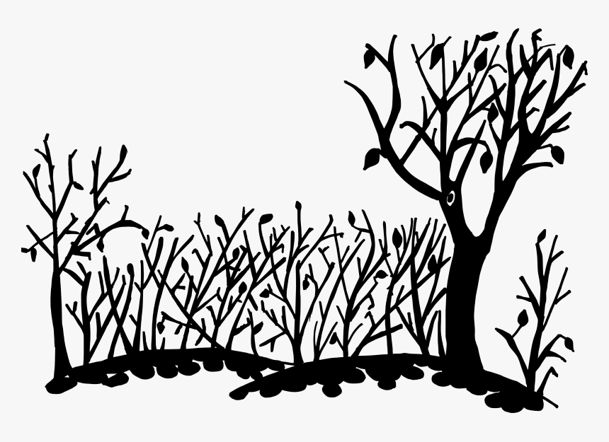 Nature Clipart Background Art, HD Png Download, Free Download