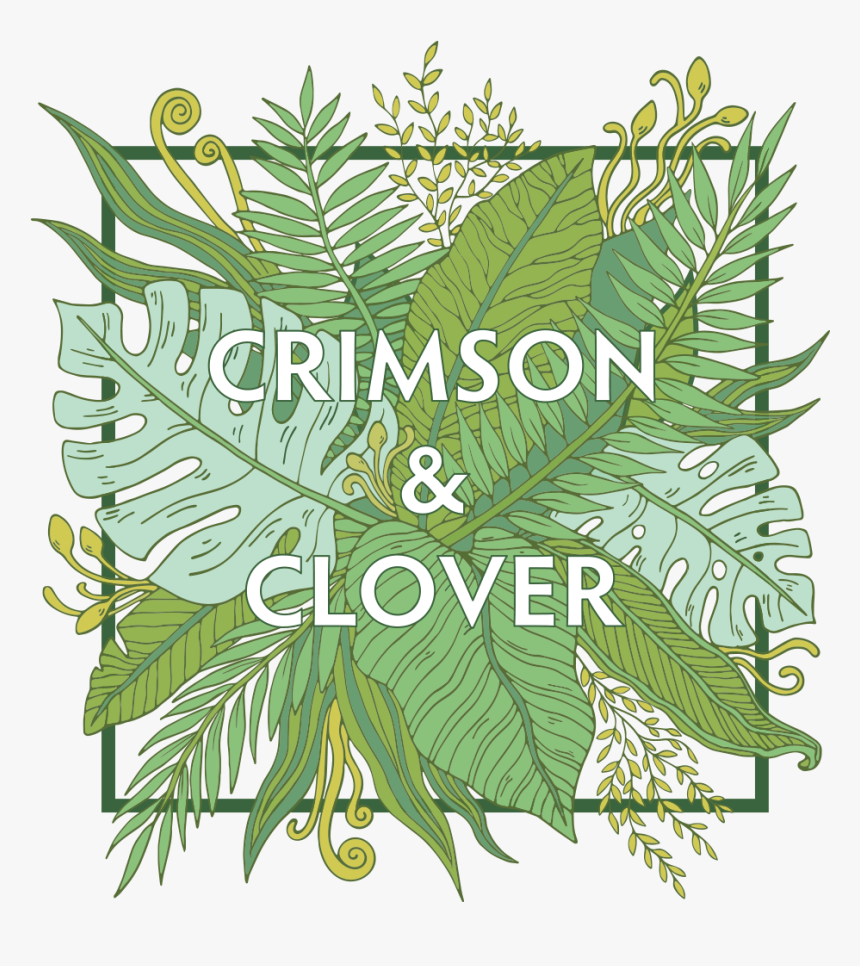 Clover Flower Png, Transparent Png, Free Download