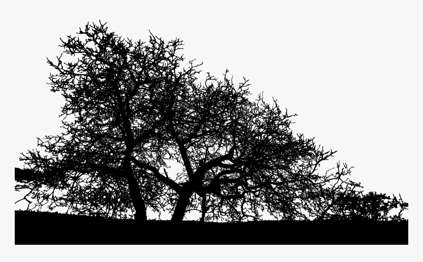 Plant,twig,leaf - Trees Landscape Silhouette Png, Transparent Png, Free Download