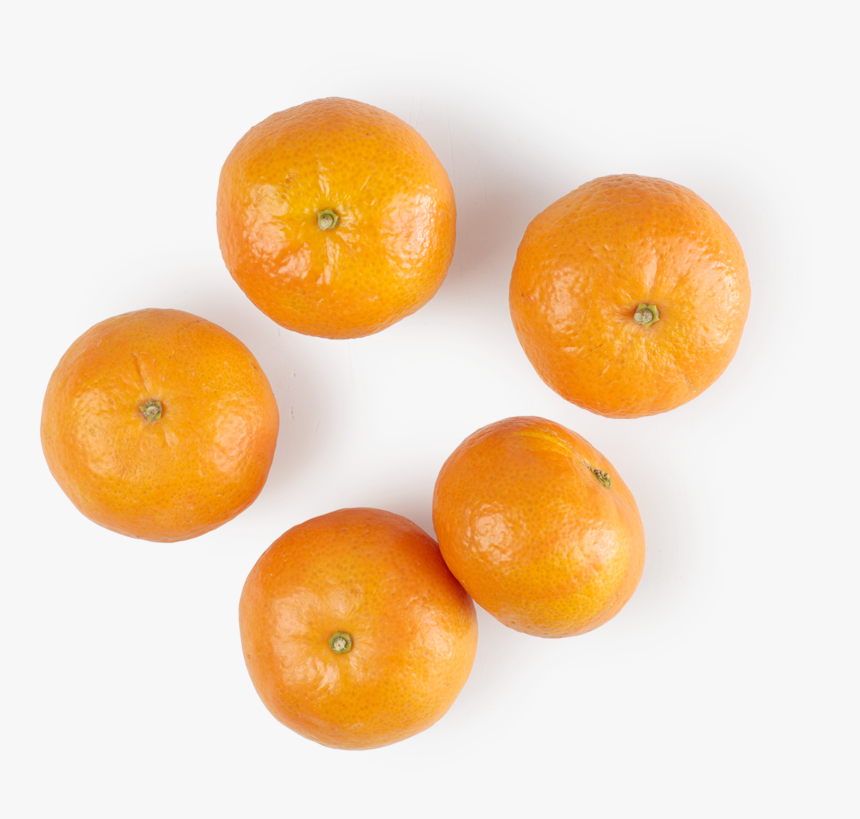 Mandarin Orange, HD Png Download, Free Download