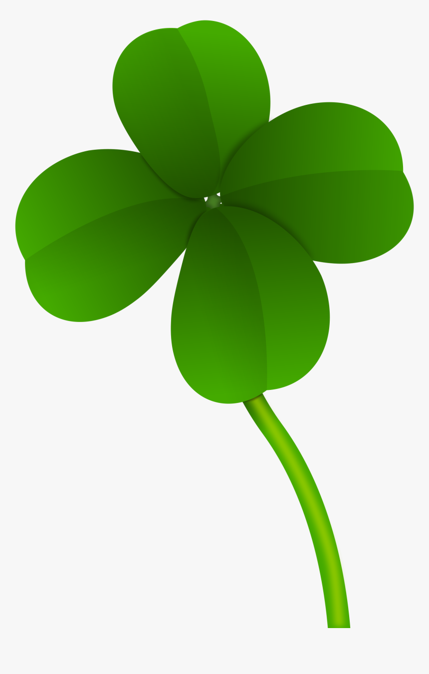 Four Leaf Clover Stem, HD Png Download, Free Download