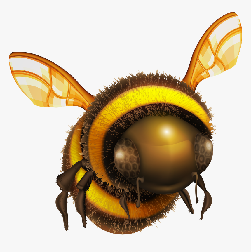 Bee Png Clip Art - Honey Bee Png Transparent, Png Download, Free Download