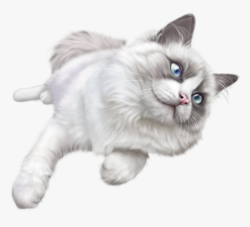 Cat Png - White Cat Transparent Background, Png Download, Free Download