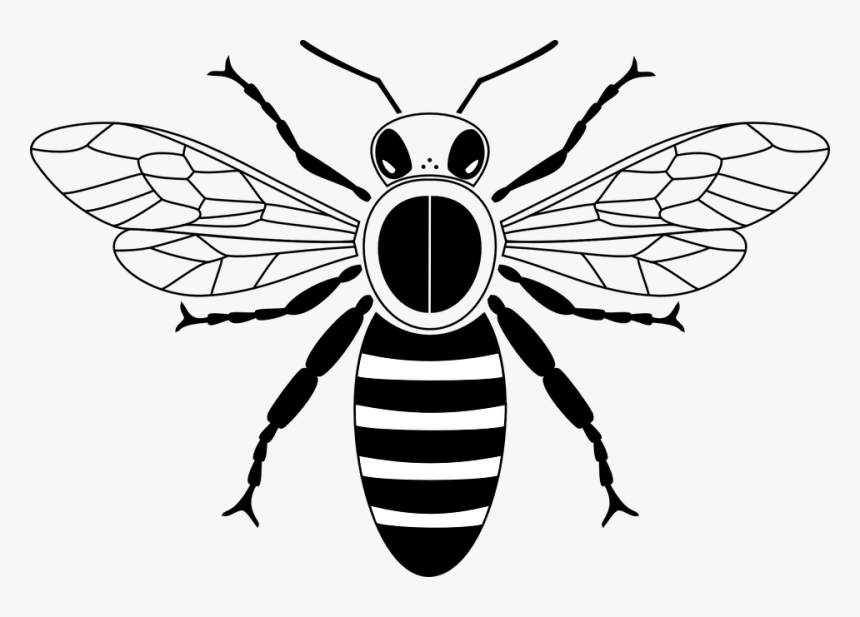 Abelha, Voar, Mel, Inseto, Asas - Draw A Honey Bee, HD Png Download, Free Download