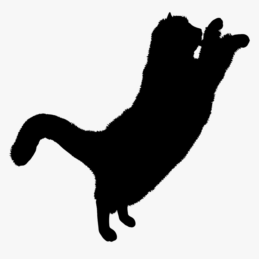 Download Free High Quality Black Cat Png Transparent - Black Cat Png Hd, Png Download, Free Download